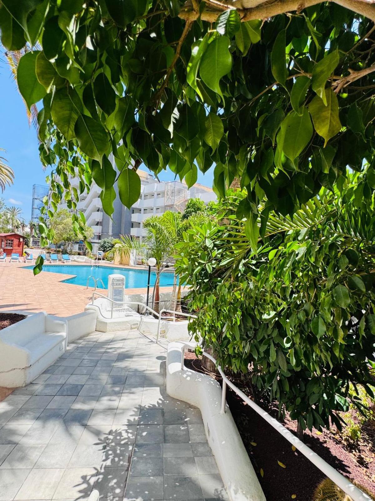 Jameo De Agua, Las Americas Studio Sea View ปลายา ฟัญญาเบ ภายนอก รูปภาพ