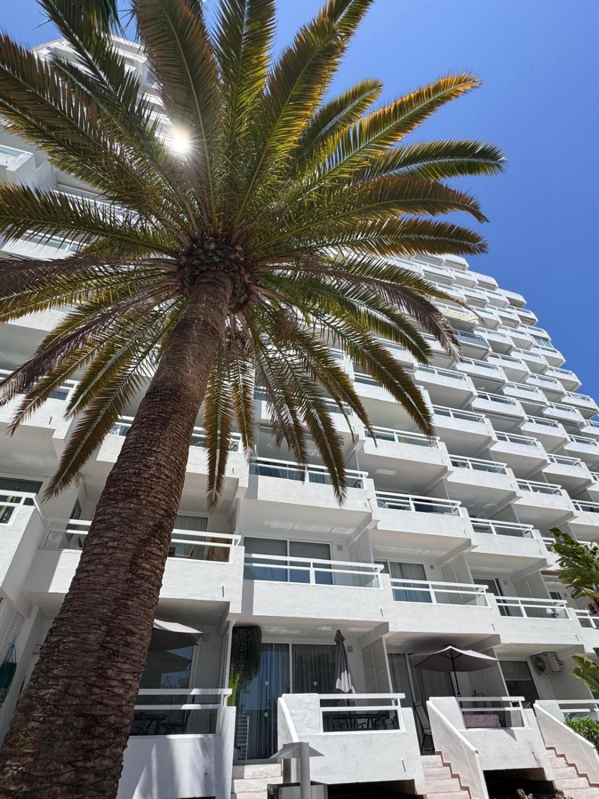 Jameo De Agua, Las Americas Studio Sea View ปลายา ฟัญญาเบ ภายนอก รูปภาพ